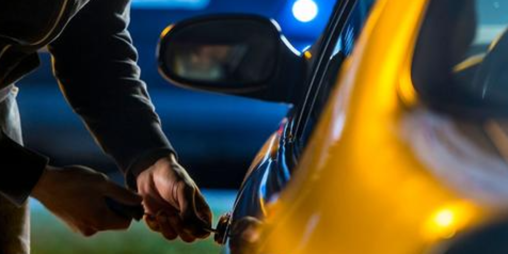 Everything you’ll need to Avoid Vehicle Theft