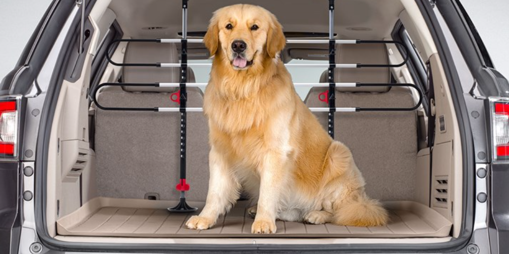 The 8 Best Car Dog Barriers